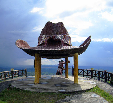 helipad_cowboyhat_large.jpg