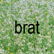 bratt.png