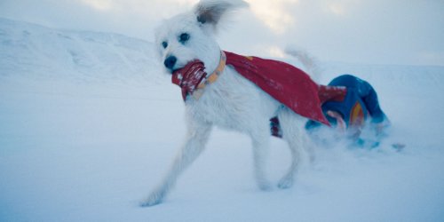 superman-teaser-trailer-krypto-pulling-cape.jpg