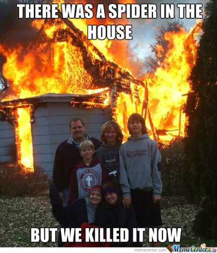 we-had-to-burn-the-house-down_o_2196465.jpg