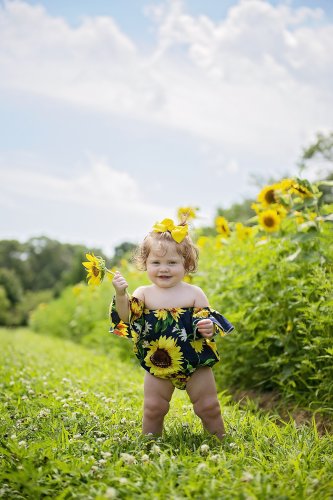 FB-Sunflower Field - 1.jpg