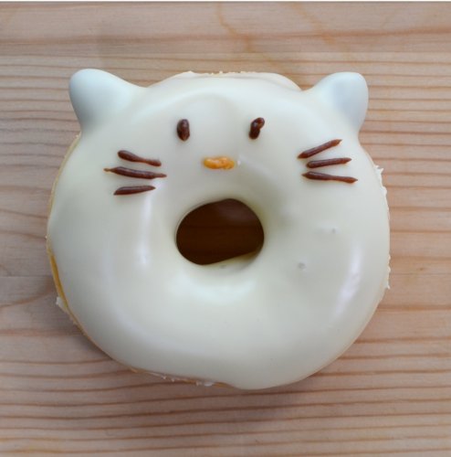 catdonut.jpg