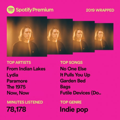 spotify-wrapped-2019 (5).jpg