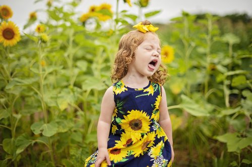 Sunflower Field - 2FB.jpg