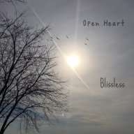 openheart